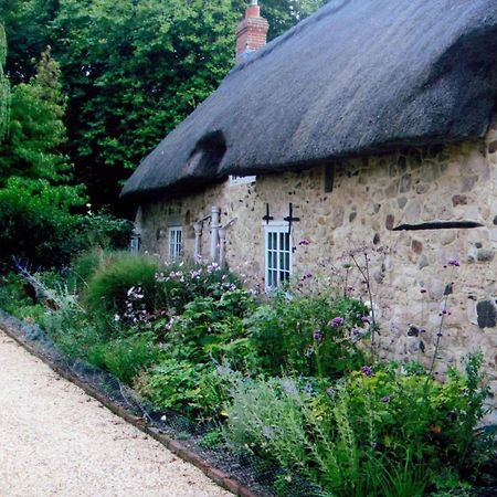 Afton Thatch: Beautiful Thatched Family Cottage Freshwater Zewnętrze zdjęcie
